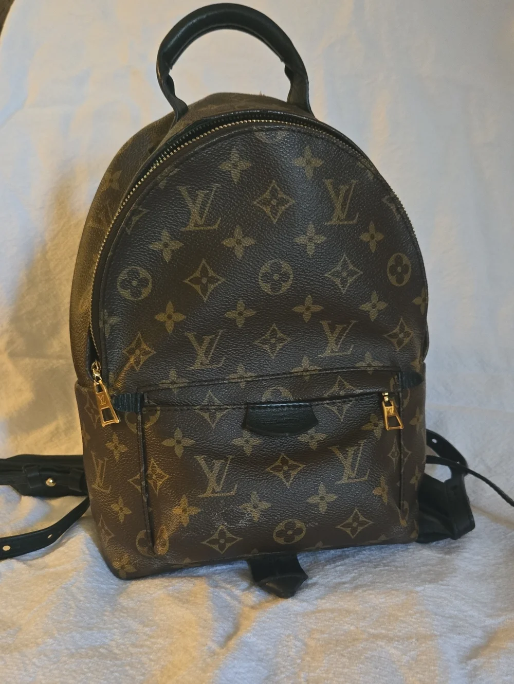 🔥🔥🔥Authentic Louis Vuitton Monogram Palm Springs Backpack PM